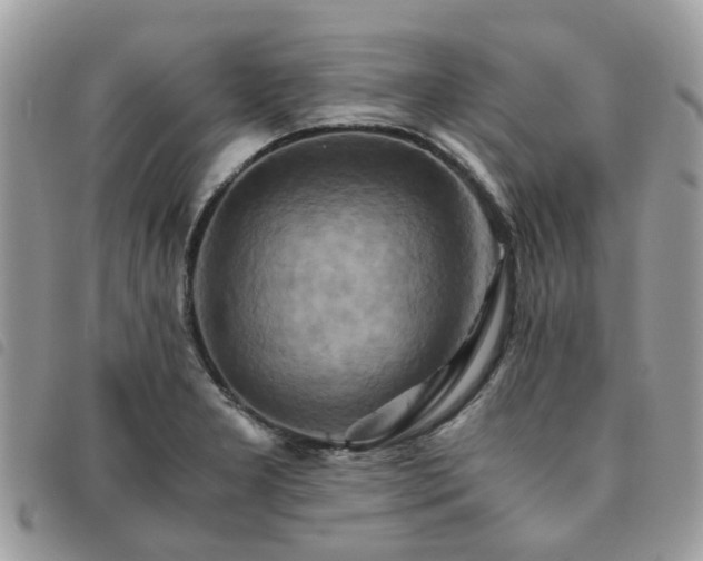 X0000091541277200708171235