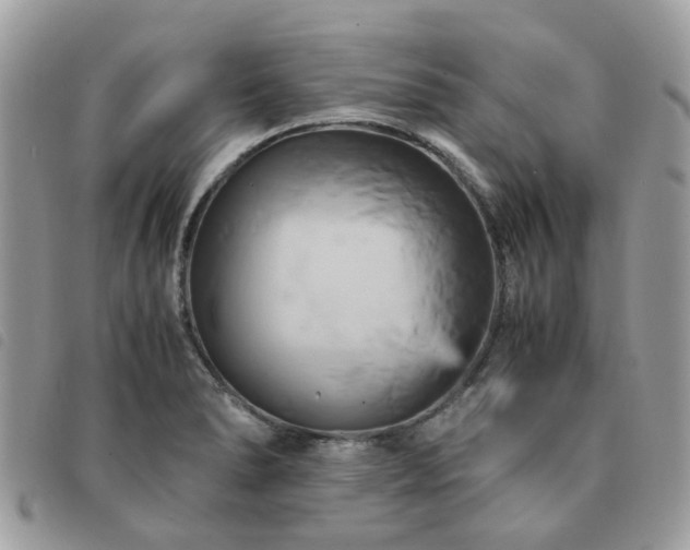 X0000091541278200708171235