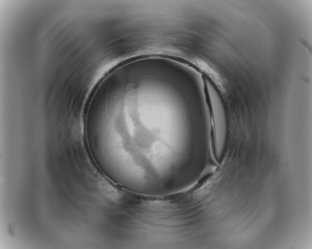 X0000091541280200708171235