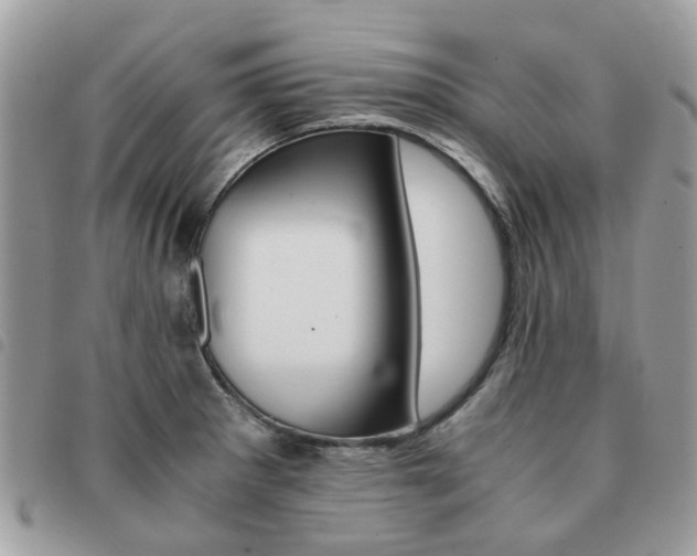 X0000091541281200708171235
