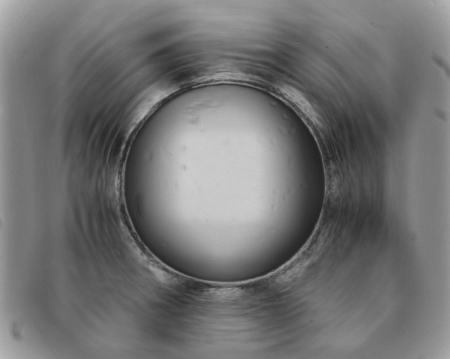 X0000091541282200708171235