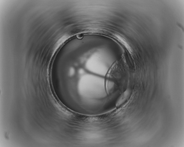 X0000091541283200708171235