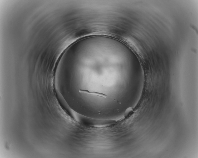 X0000091541284200708171235