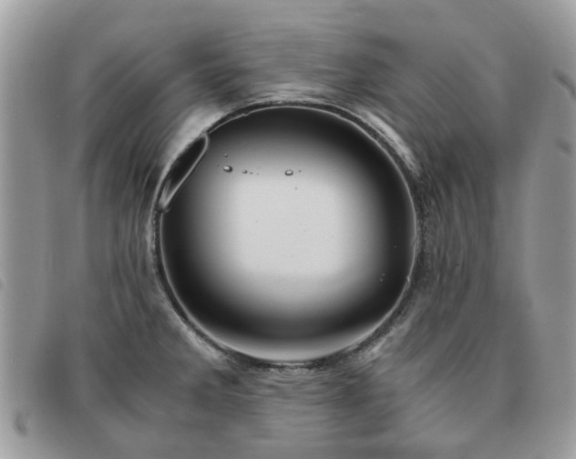 X0000091541285200708171235