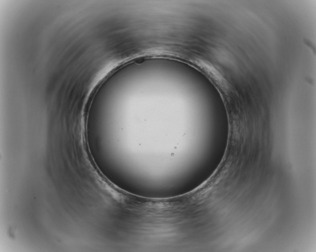 X0000091541286200708171235