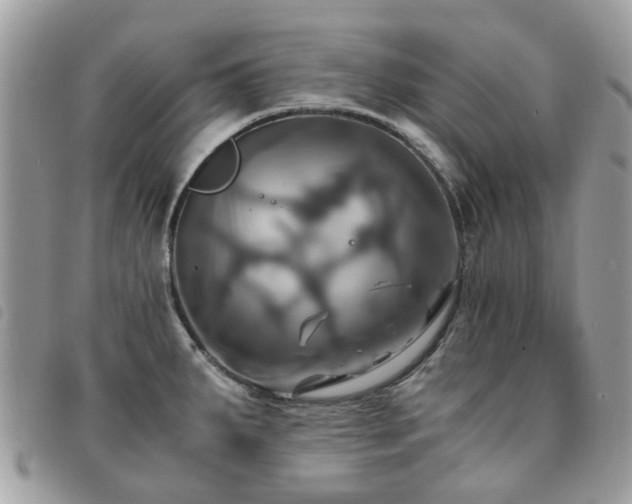 X0000091541287200708171235