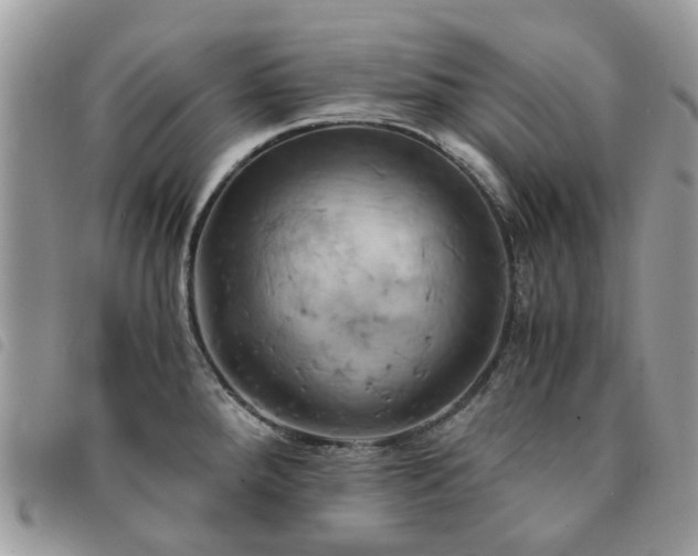X0000091541288200708171235