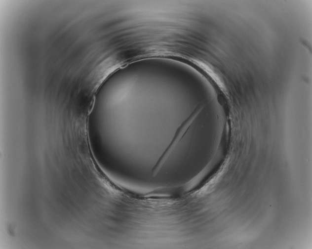 X0000091541289200708171235