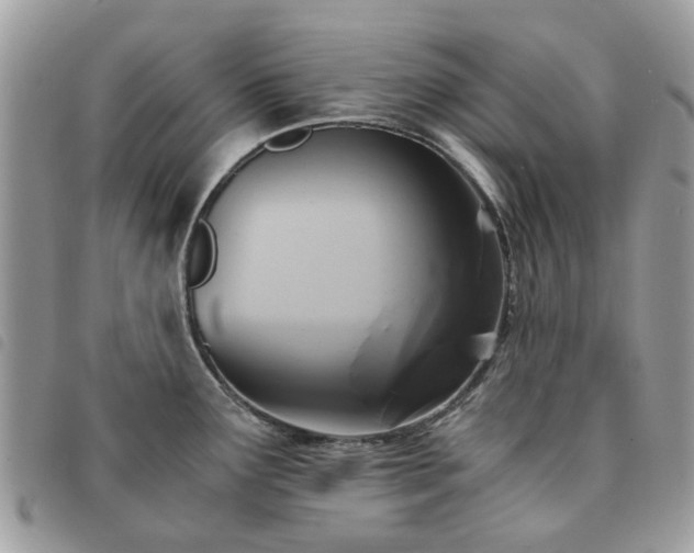 X0000091541291200708171235