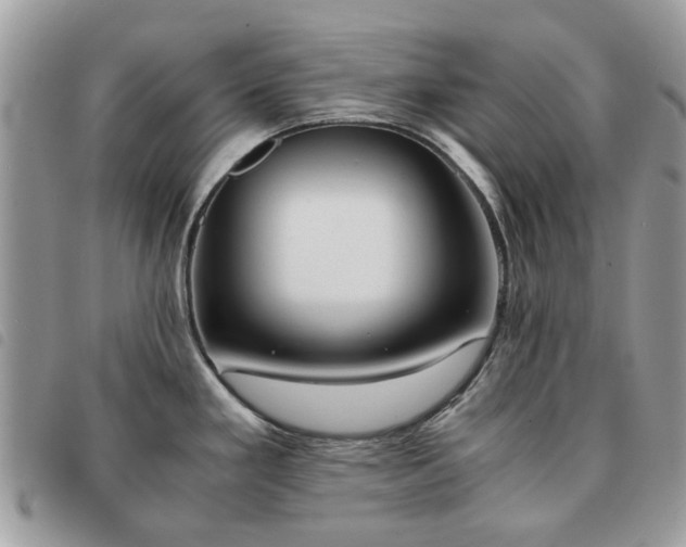X0000091541293200708171235