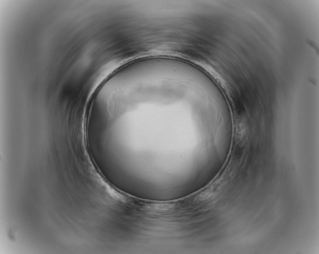 X0000091541294200708171235