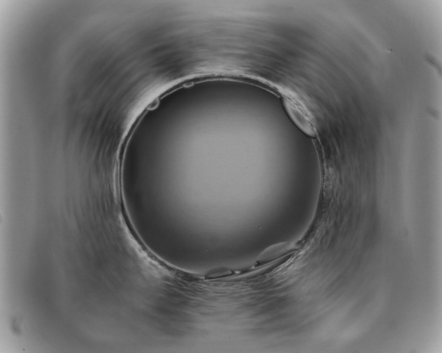 X0000091541295200708171235