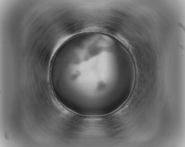 X0000091541296200708171235