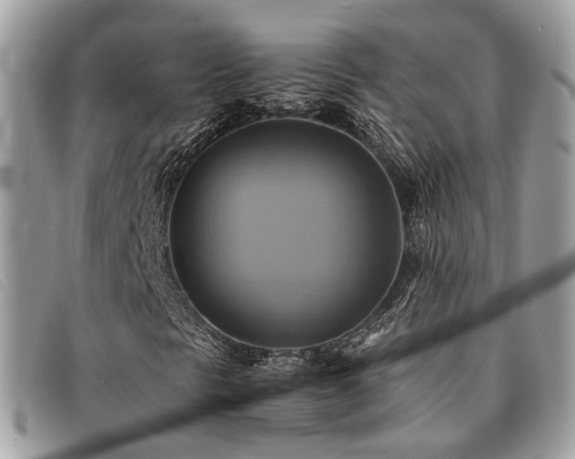 X0000091541297200708171234