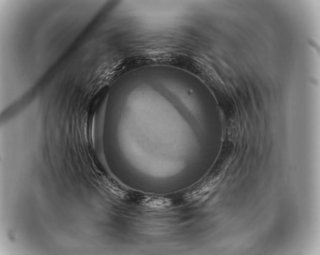 X0000091541298200708171234