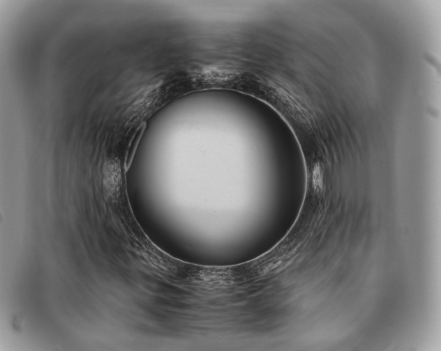 X0000091541299200708171234