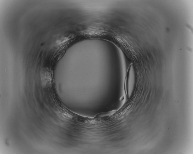 X0000091541300200708171234
