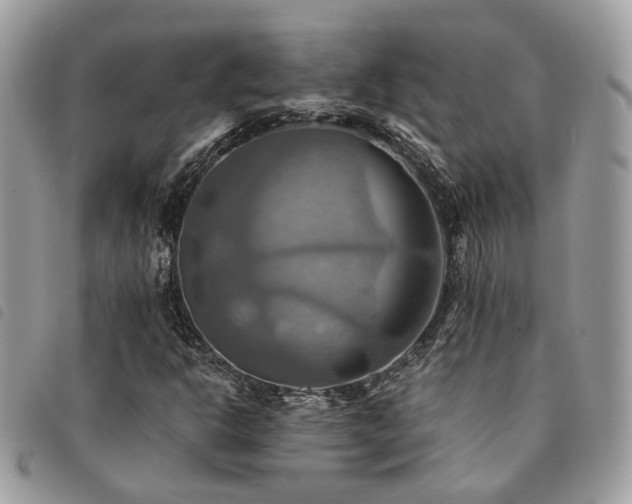 X0000091541302200708171234
