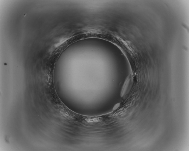 X0000091541303200708171234