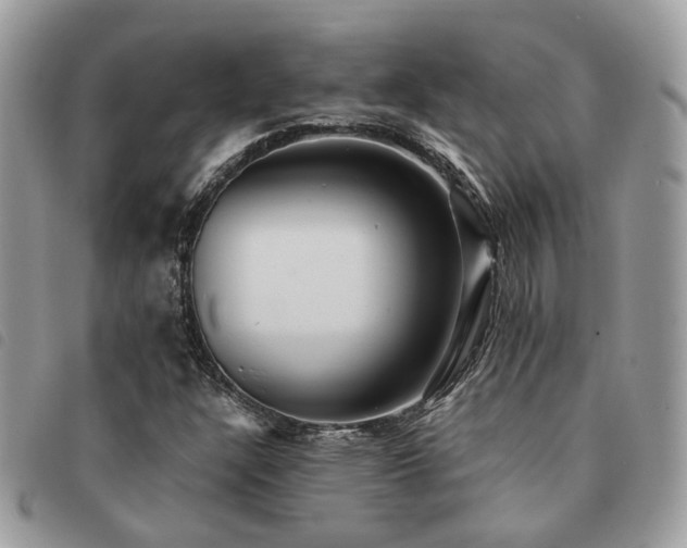 X0000091541304200708171235