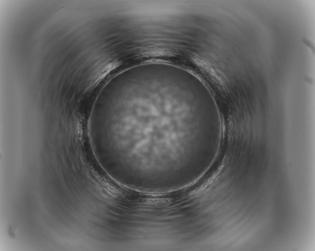 X0000091541305200708171235