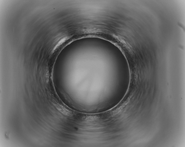 X0000091541306200708171235