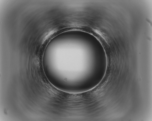 X0000091541307200708171235