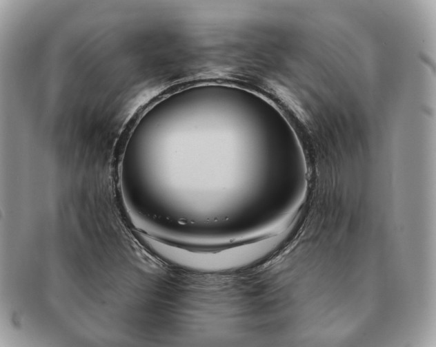 X0000091541308200708171235