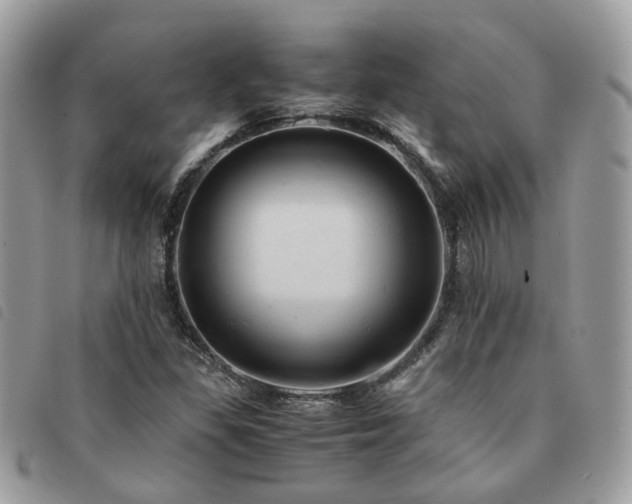 X0000091541309200708171235
