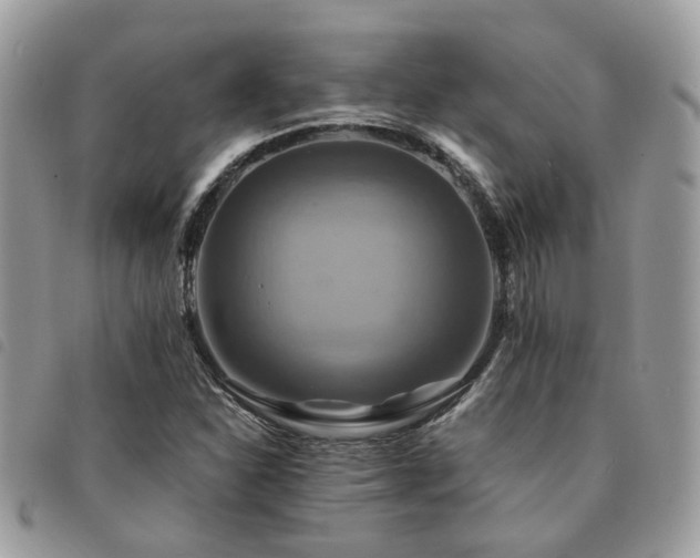 X0000091541310200708171235