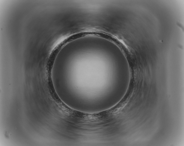 X0000091541311200708171235