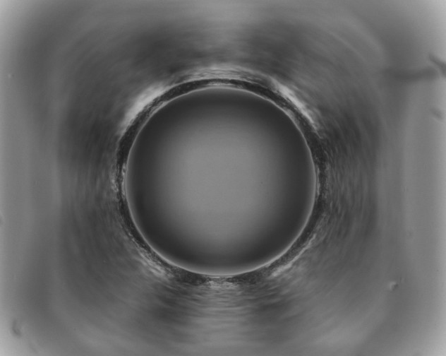 X0000091541312200708171235