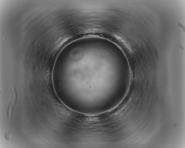 X0000091541313200708171235