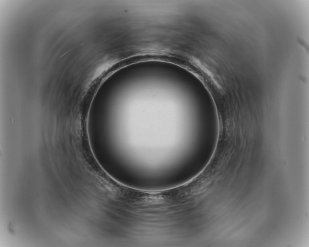 X0000091541315200708171235