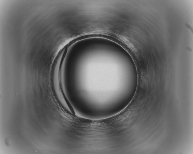 X0000091541316200708171235