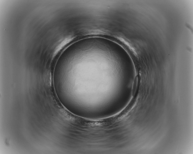 X0000091541317200708171235