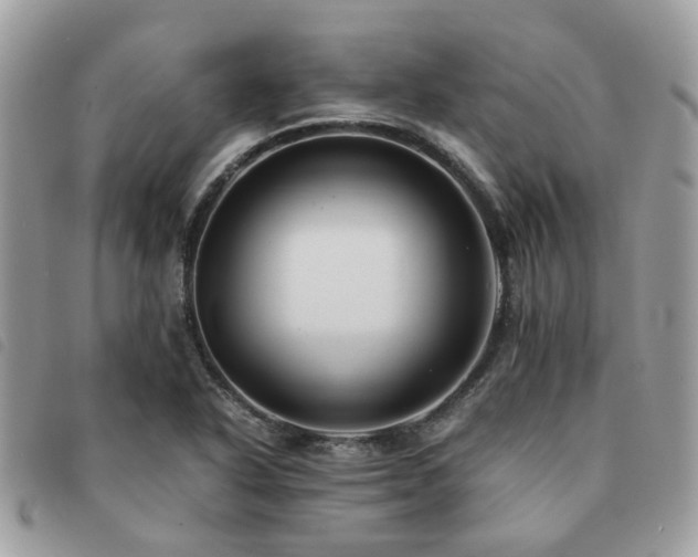X0000091541318200708171235