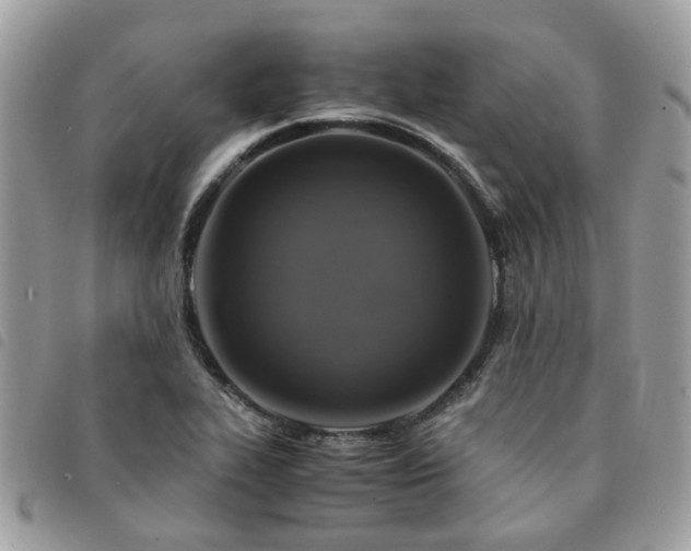 X0000091541319200708171235