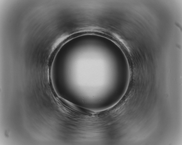 X0000091541320200708171235