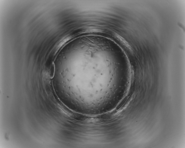 X0000091541321200708171235