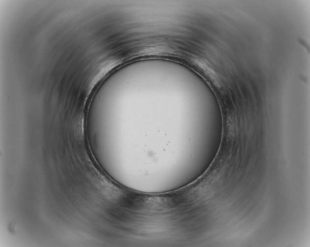 X0000091541322200708171235