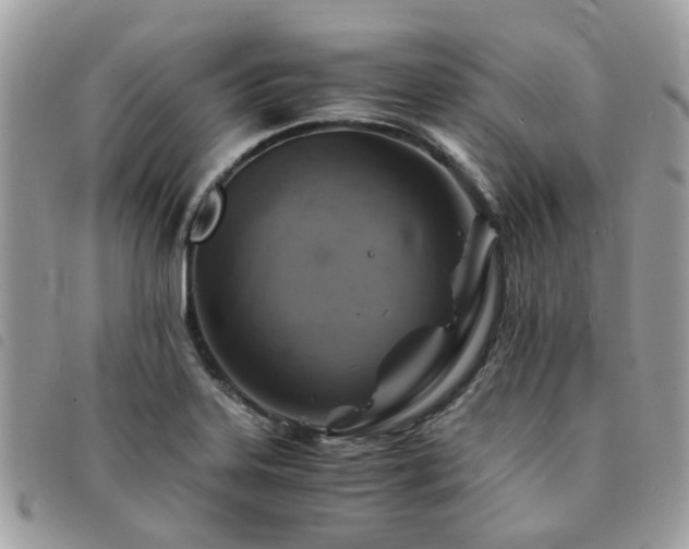 X0000091541323200708171235