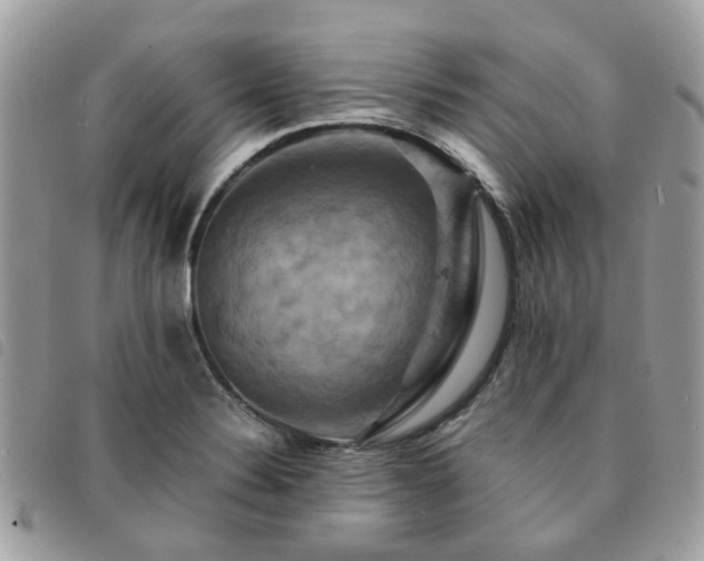 X0000091541324200708171235