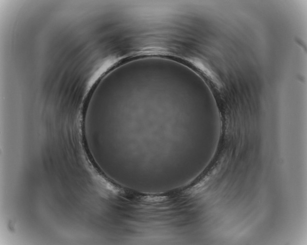 X0000091541325200708171235