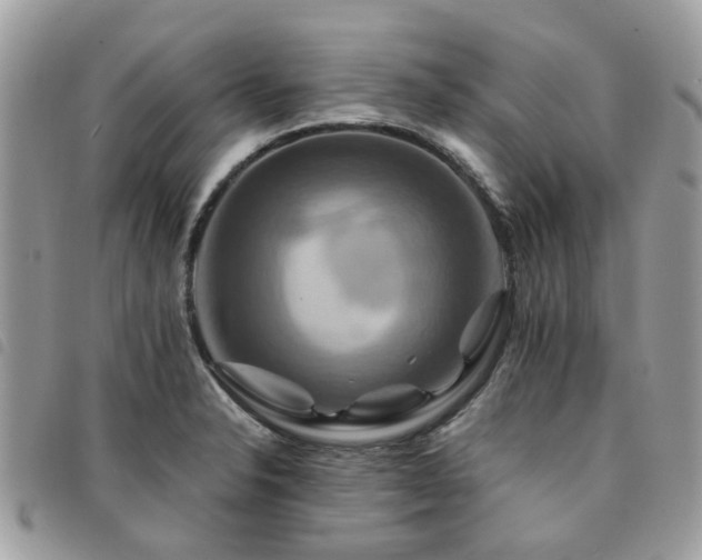 X0000091541326200708171235