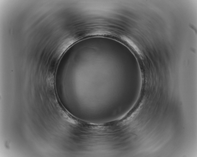 X0000091541329200708171235