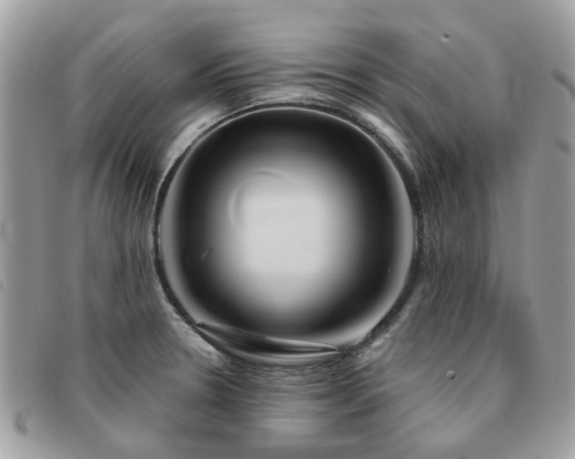X0000091541330200708171235