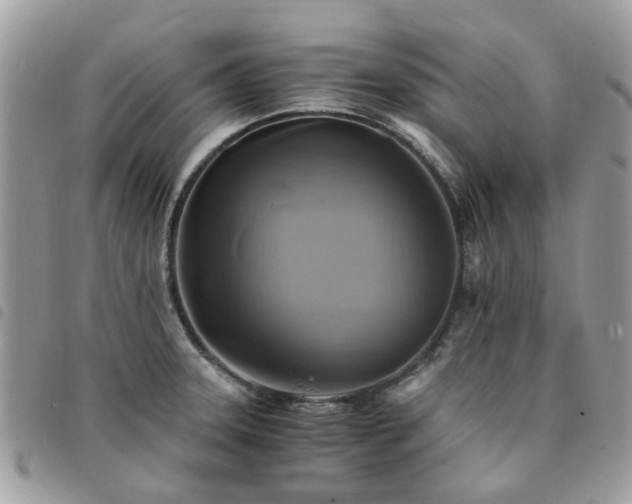 X0000091541331200708171235