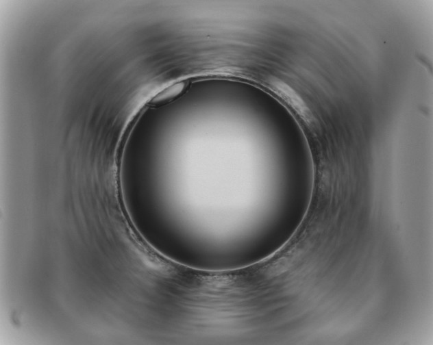 X0000091541332200708171235