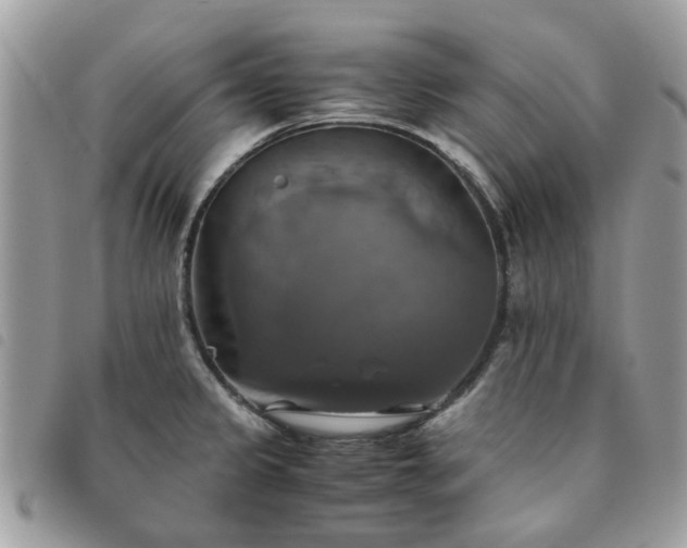 X0000091541333200708171235